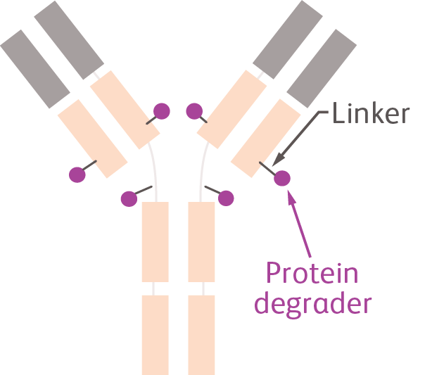 LDD icon
