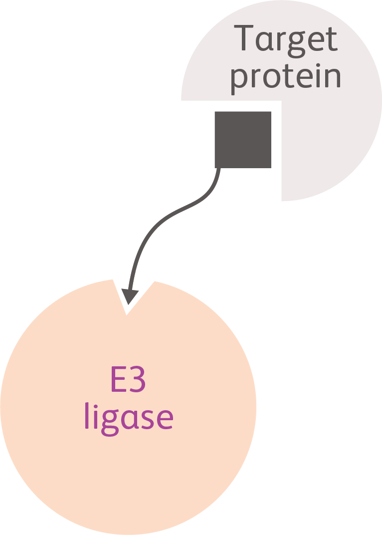 LDD icon